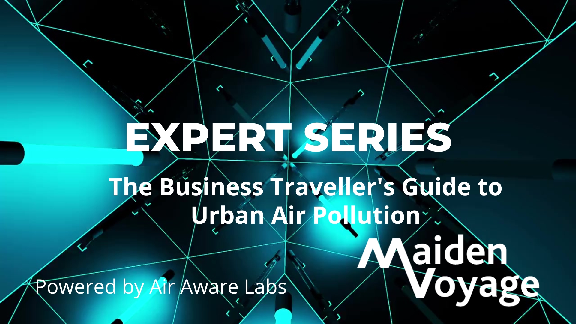 Expert Series Title: The business travellers guide to urban air pollution